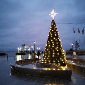 Unclassified image, 2 of 76, button