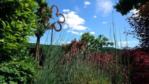 Een tuin met een metalen sculptuur, weelderige begroeiing en een helderblauwe lucht.