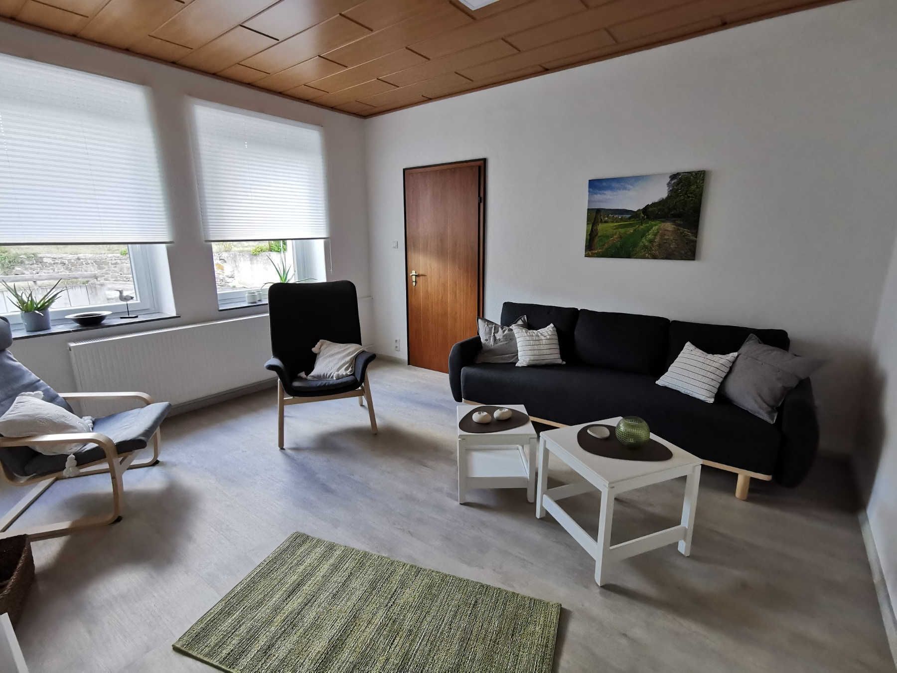 Un salon moderne avec un canapé noir, une chaise en bois, une table basse blanche et un tapis vert. Il y a deux fenêtres avec des stores, une porte et un tableau au mur.