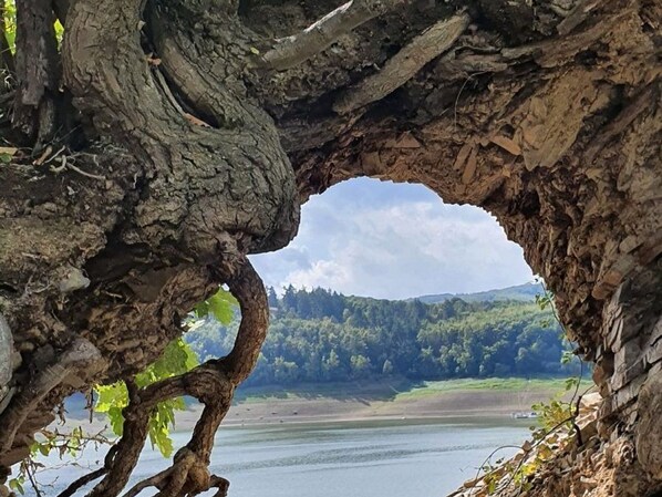 Unclassified image, 1 of 34, button