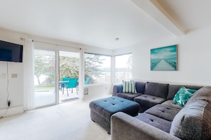 TV, DVD player, books