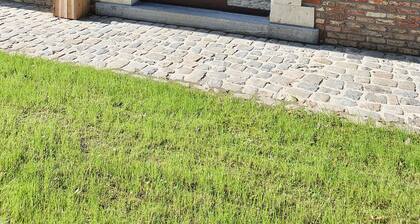 Housing for expats and companies (Arcelor Mittal, Volvo,...)