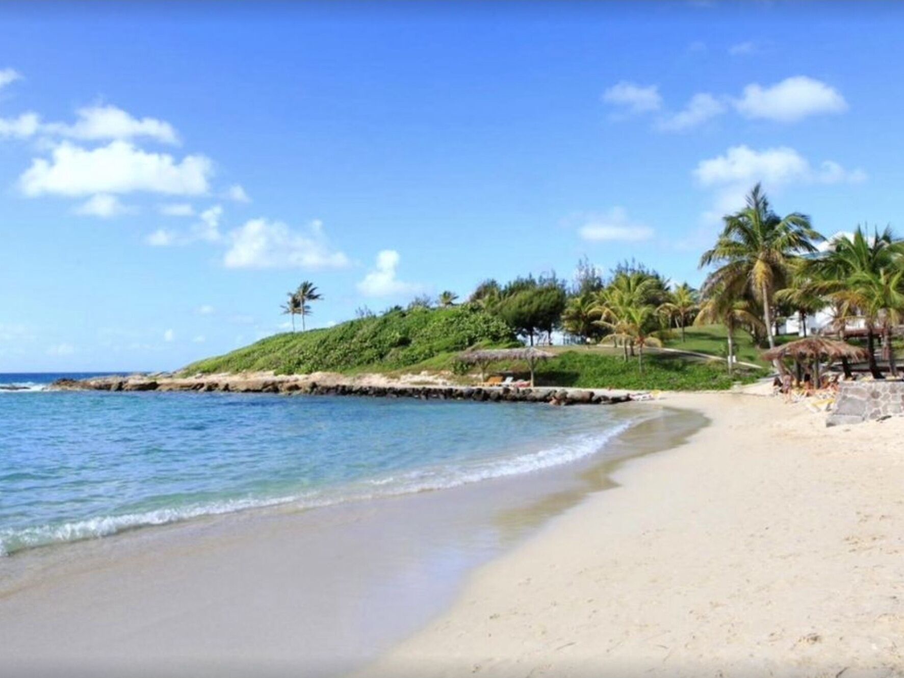 Une plage bordée d’un rivage rocheux, avec des palmiers et un ciel bleu dégagé.