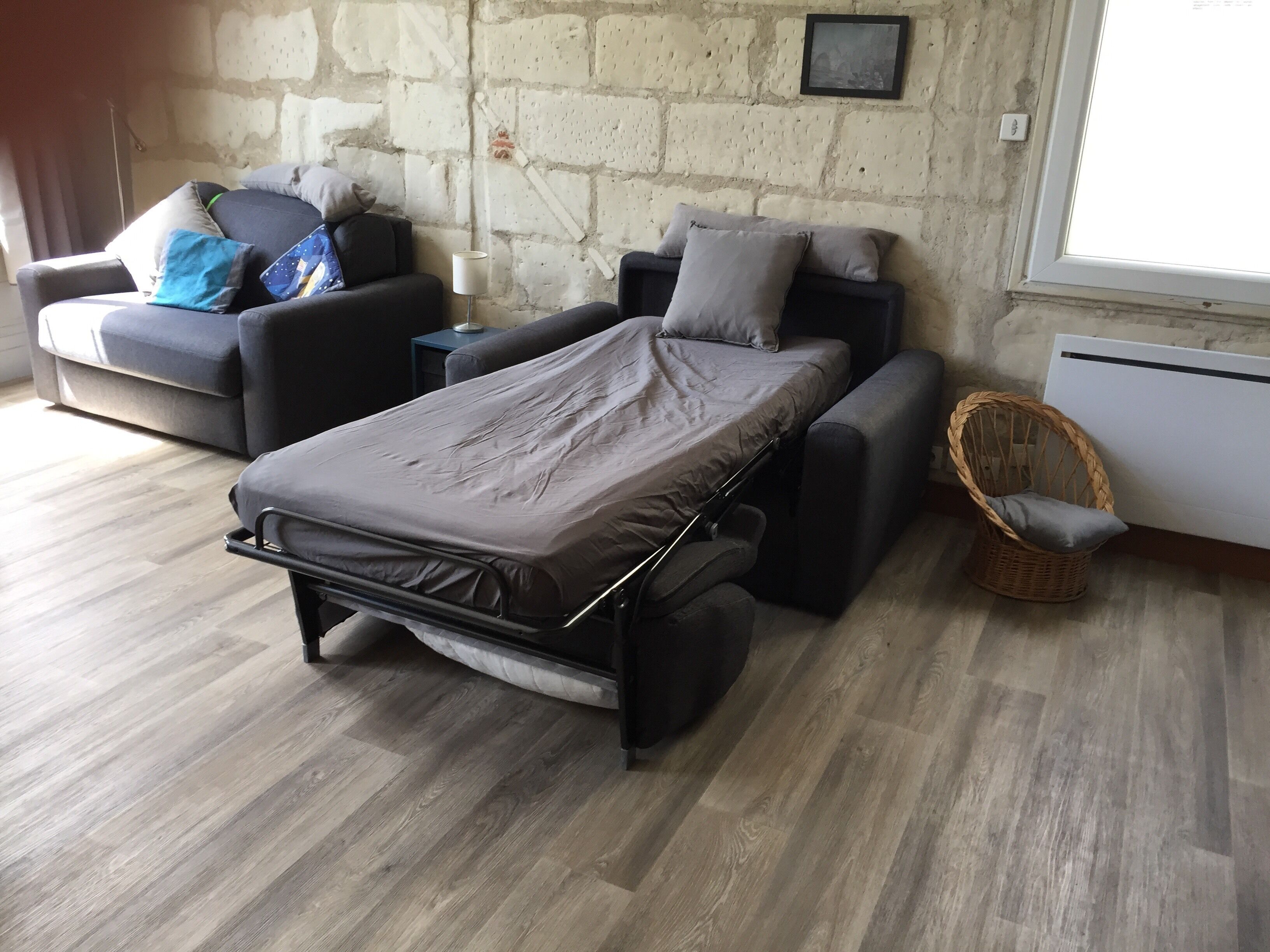 A modern room with a convertible sofa and a pull-out bed.