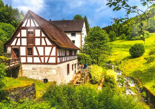 Ferienwohnung Schwarzwald Todtmoos
