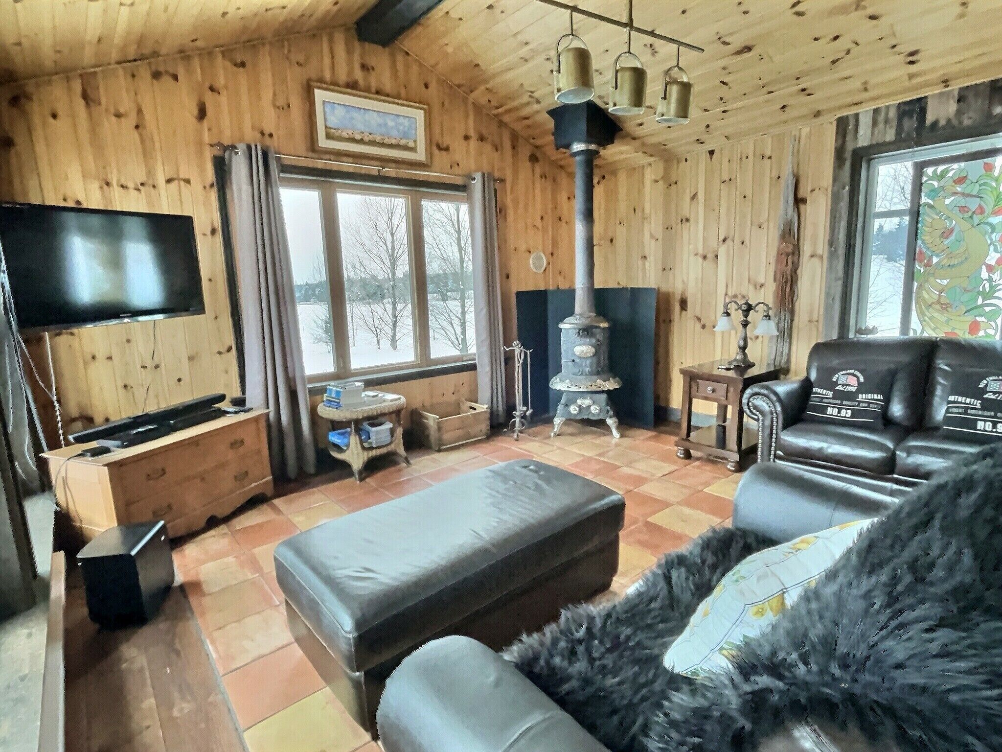 Smart TV, fireplace, DVD player, books