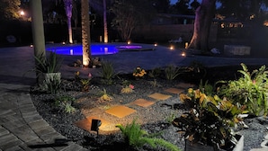 An outdoor pool area with a blue-lit water feature, surrounded by plants and stone pathways. - Ponte Vedra Wilderness Oasis minutes from TPC and the beach (Ponte Vedra Beach)