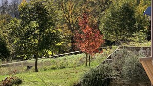 Um jardim com diversas plantas e árvores, um muro de pedra e vista para uma cordilheira.
