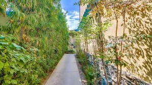 A narrow pathway flanked by dense foliage and a building with a stone wall.