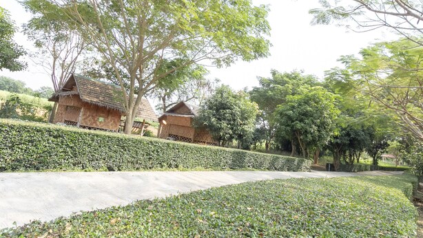 Taman
