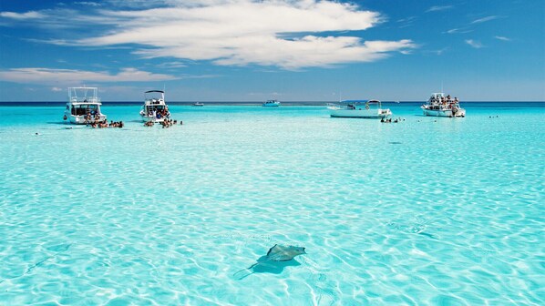 Guests can enjoy snorkeling and swimming in the clear turquoise waters.