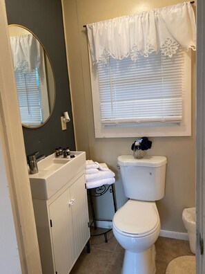 Shower, hair dryer, soap, shampoo