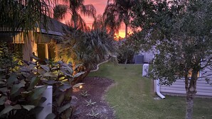 Ein Garten mit einem Weg, der zu einem Haus führt, umgeben von verschiedenen Pflanzen und Bäumen.