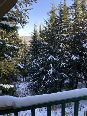 Property grounds - Charming Mountain Cabin Sleeps 12 (Sandpoint)