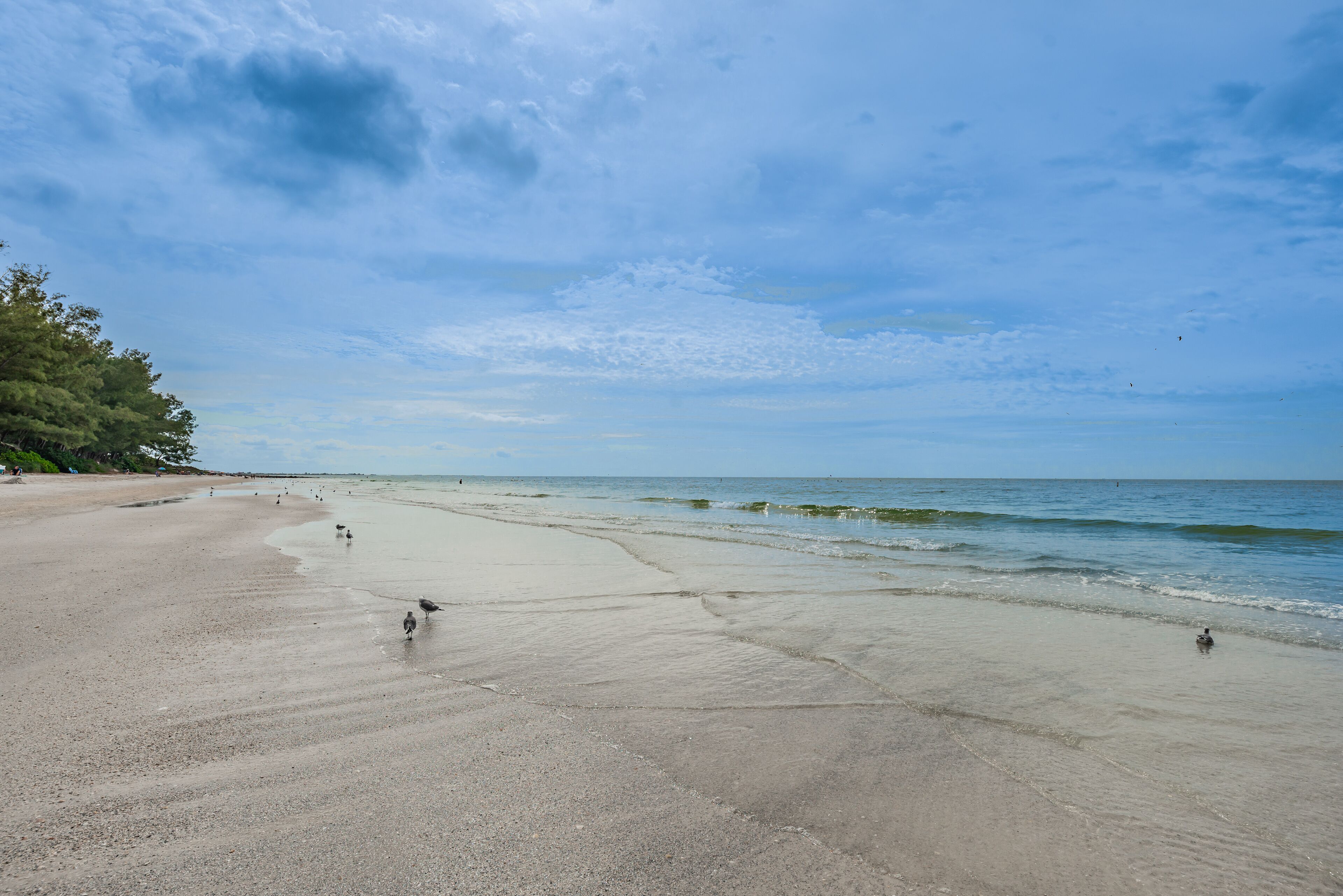 Une vaste plage aux vagues douces et sous un ciel dégagé.