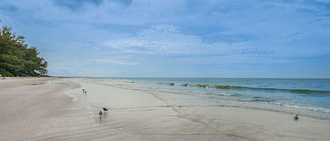 Una playa extensa con olas suaves y cielo despejado.