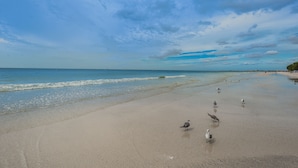 Ein Strand mit Sand und Wasser, sowie Vögel am Strand.