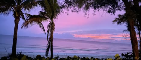 On the beach, sun loungers, beach towels