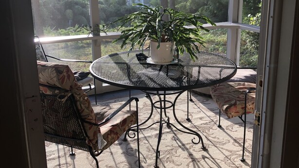 A sunlit patio with a round table and chairs, a ceiling fan, and a potted plant.