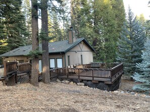 Une cabane dotée d’une terrasse, entourée de grands arbres.