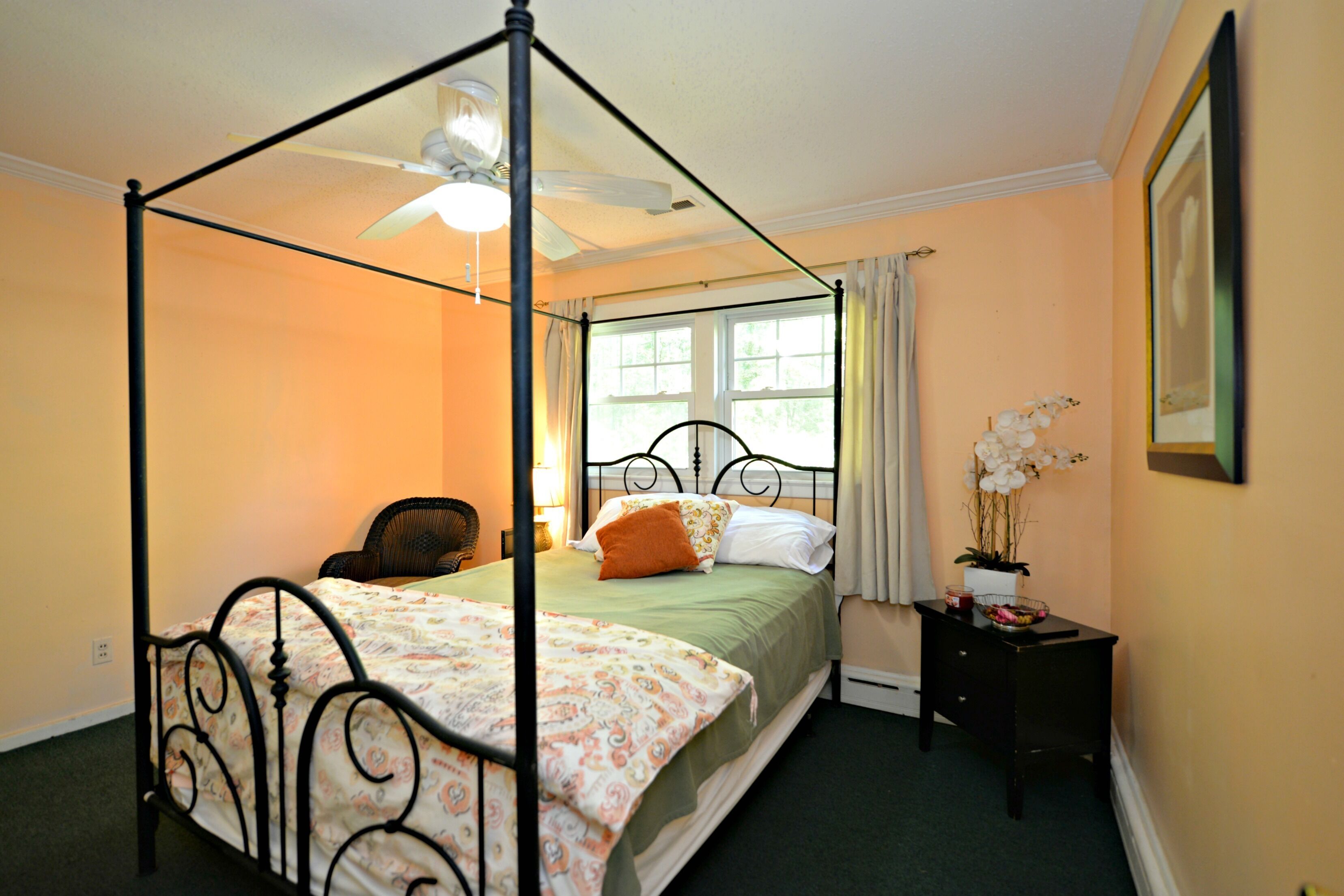 Peaceful Horse Country Home TIEC/FENCE and MTNS