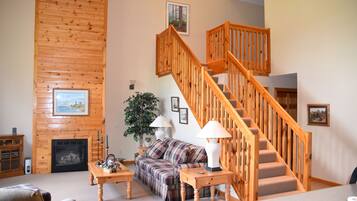 Télévision, cheminée, lecteur de DVD, livres