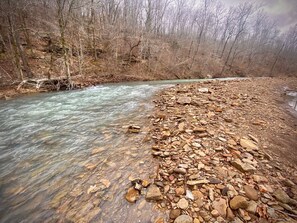 Property grounds - BUCKEYE Lodge on the Pig Trail senic hwy (Combs)