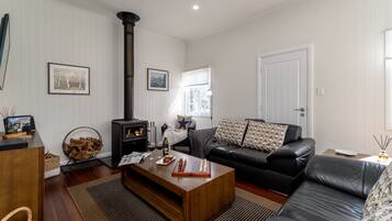 TV, fireplace, DVD player, books