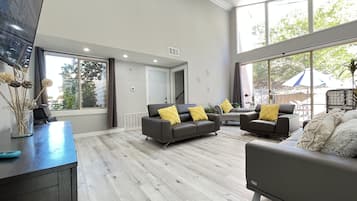 Smart TV, fireplace, video games, DVD player