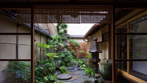 Un jardin japonais traditionnel avec un sentier de pierres, des rochers et différentes espèces de plantes.