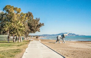 بالقرب من الشاطئ