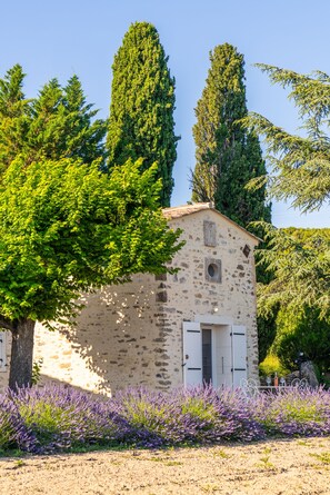Exterior - Provençal gîte with view of Mont Ventoux for 8 people (Vaison-la-Romaine)