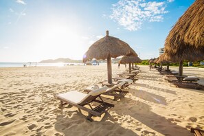 在海滩、免费海滩班车、沙滩椅、海滩遮阳伞
