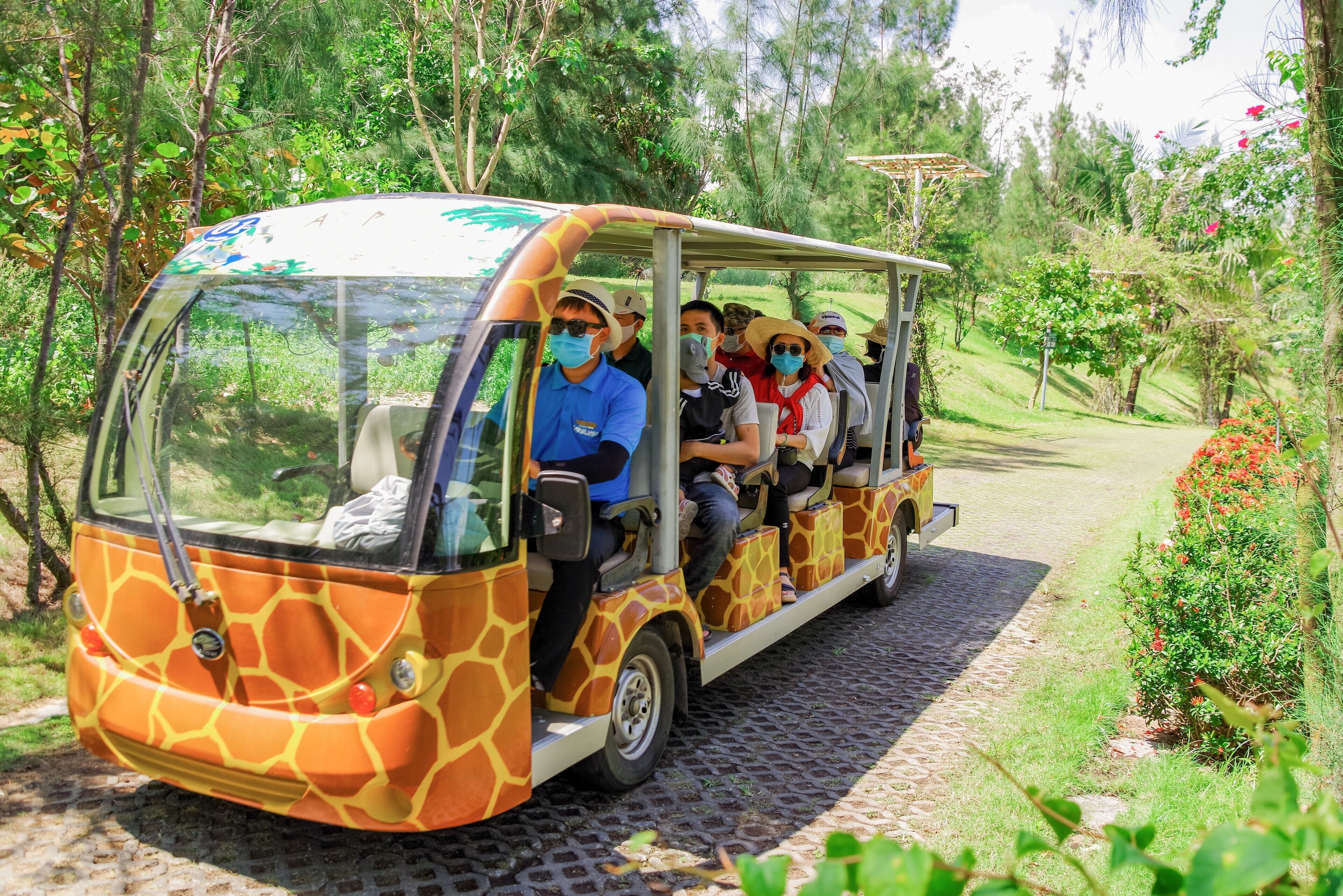 Safari
