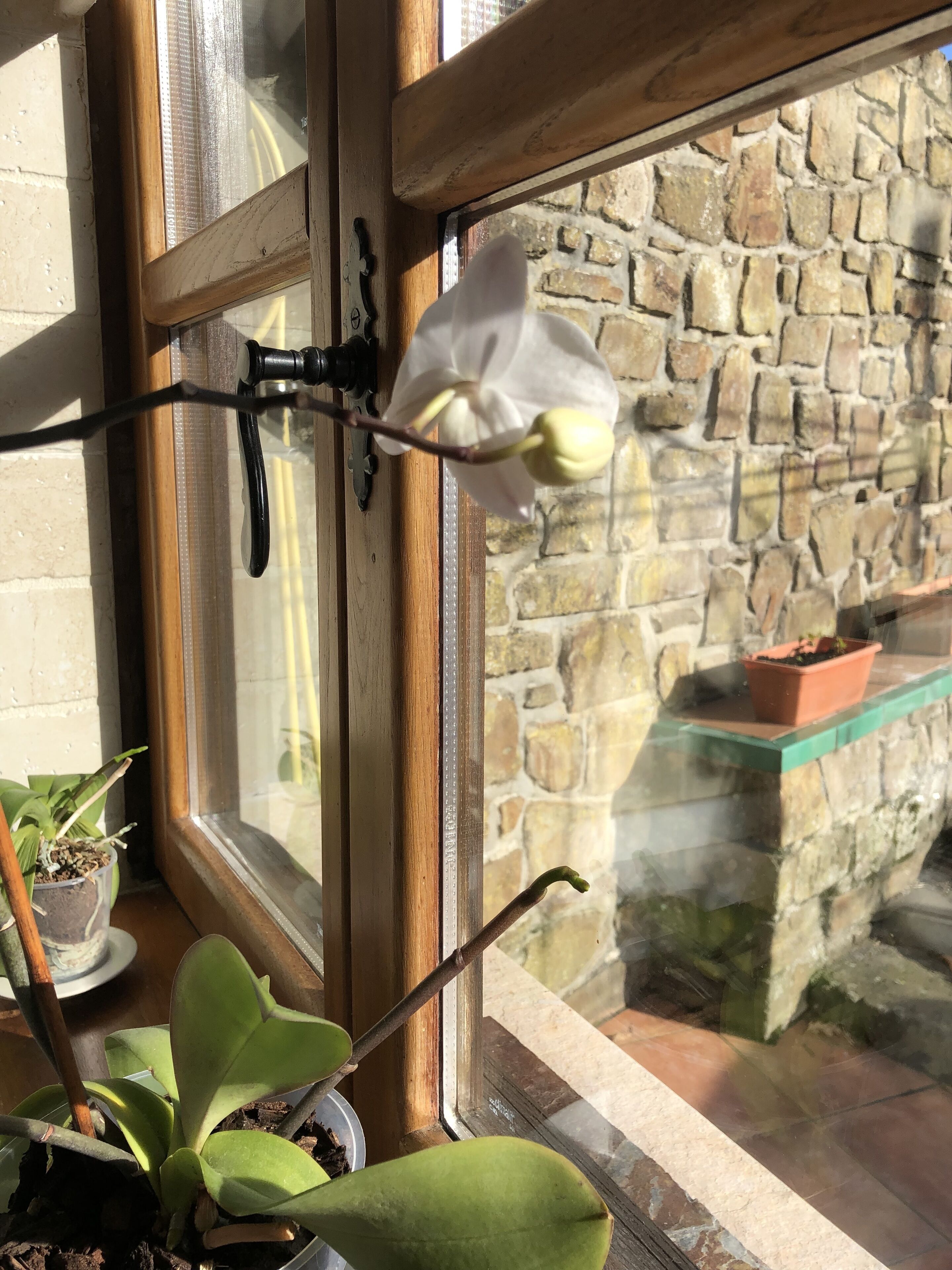 Casa Laudina y Armando, a la Puerta del Parque Nacional de Redes