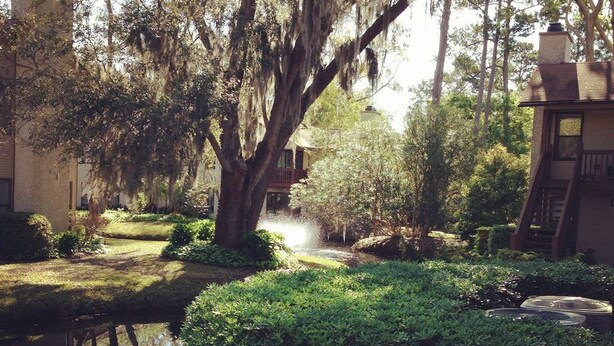 A serene garden with a pond, lush greenery, and a rustic building with a chimney. - St Simons Island,  2 bedroom, 2 bath condo, short walk to village and beaches. (St. Simons)