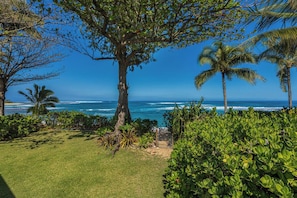 Enjoy a tranquil beachfront setting with a lush lawn, tree canopy, and ocean views.