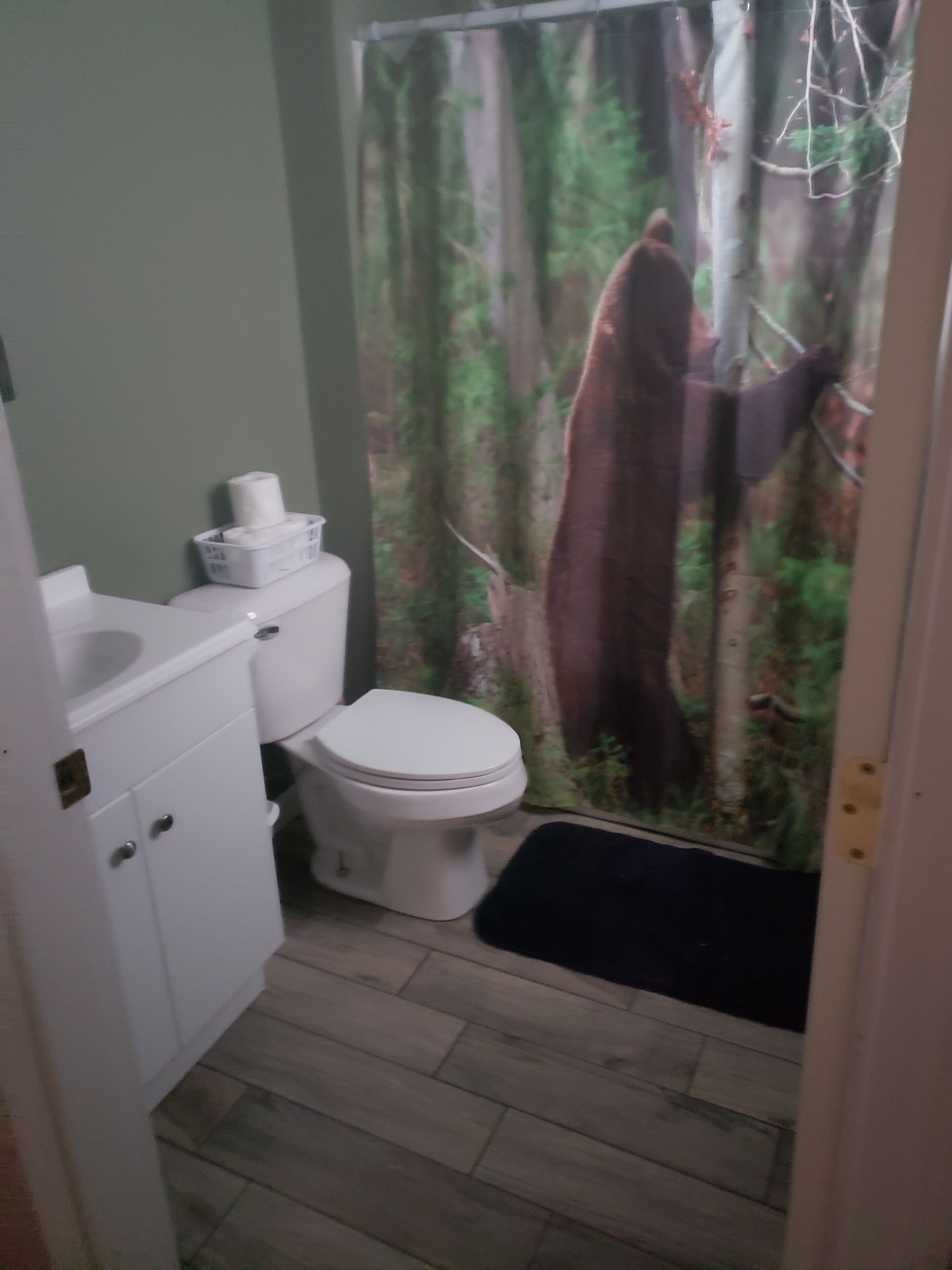 Remote Hunting Camp in Northern Maine - Bear's Lair