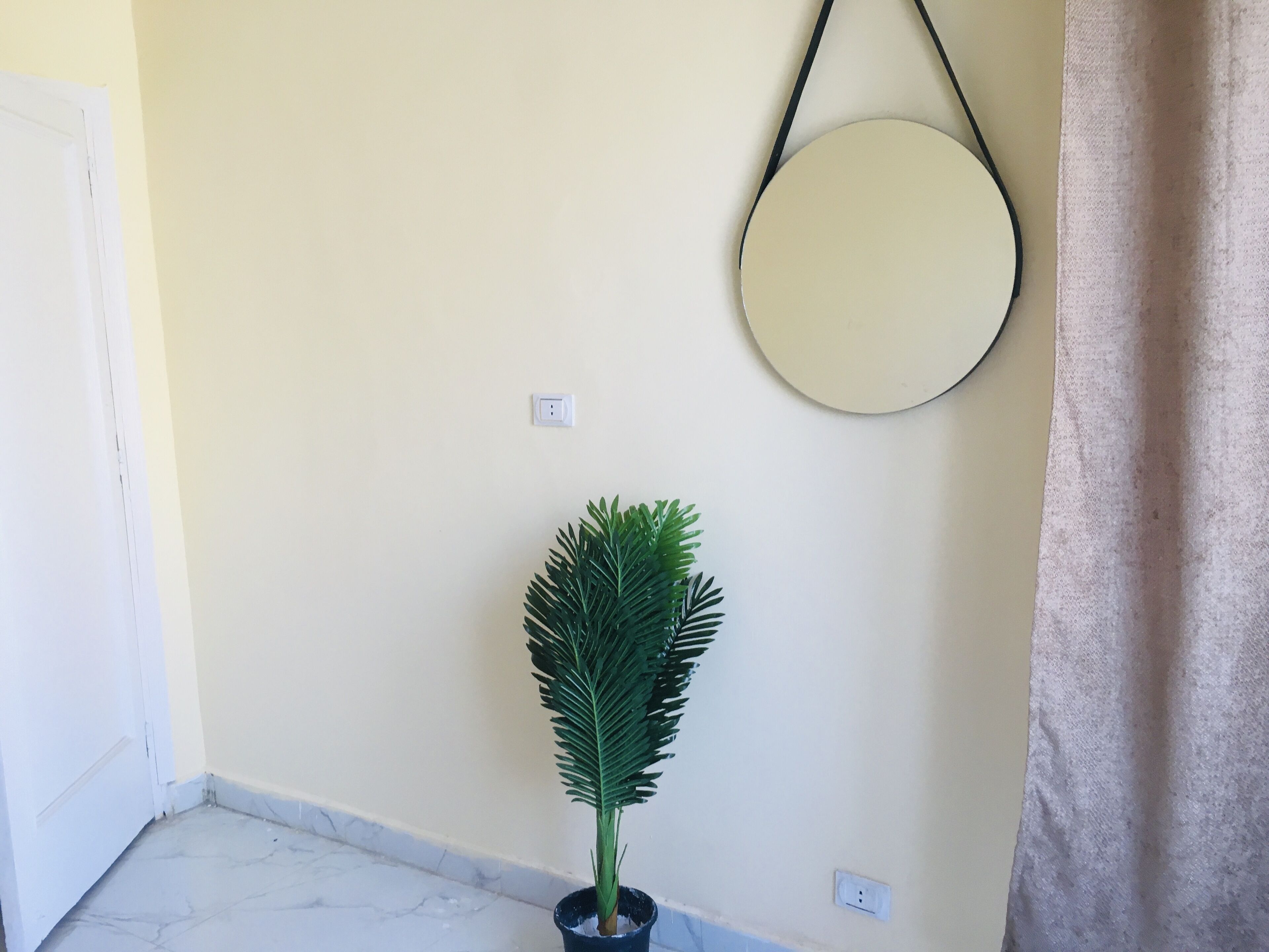 Un rincón de una habitación con una planta en maceta, un espejo redondo en la pared y una puerta.