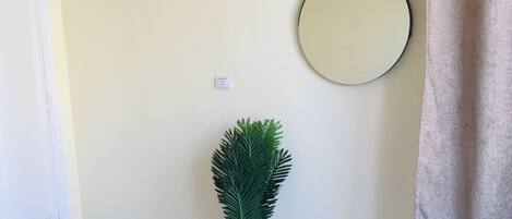Un rincón de una habitación con una planta en maceta, un espejo redondo en la pared y una puerta.