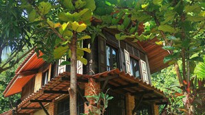 A traditional house with a wooden structure, surrounded by lush greenery and trees.