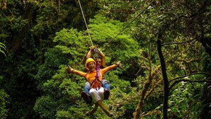 Une personne suspendue dans une forêt, portant un casque et un harnais, et reliée à une tyrolienne.