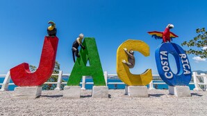 De grandes lettres formant le mot « JACOTA », sur lesquelles sont perchés des toucans, le tout sur fond de ciel bleu clair.