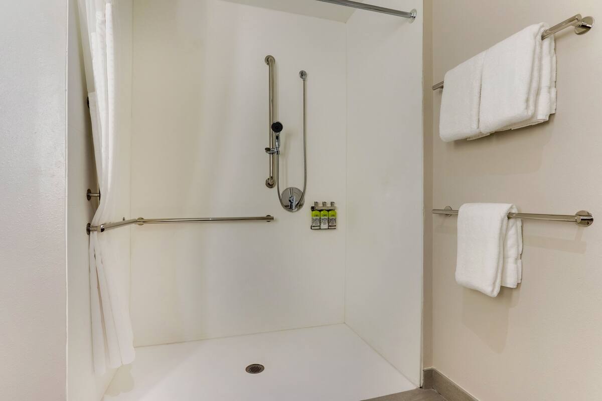 A shower area with a grab bar, a towel rack, and a showerhead.