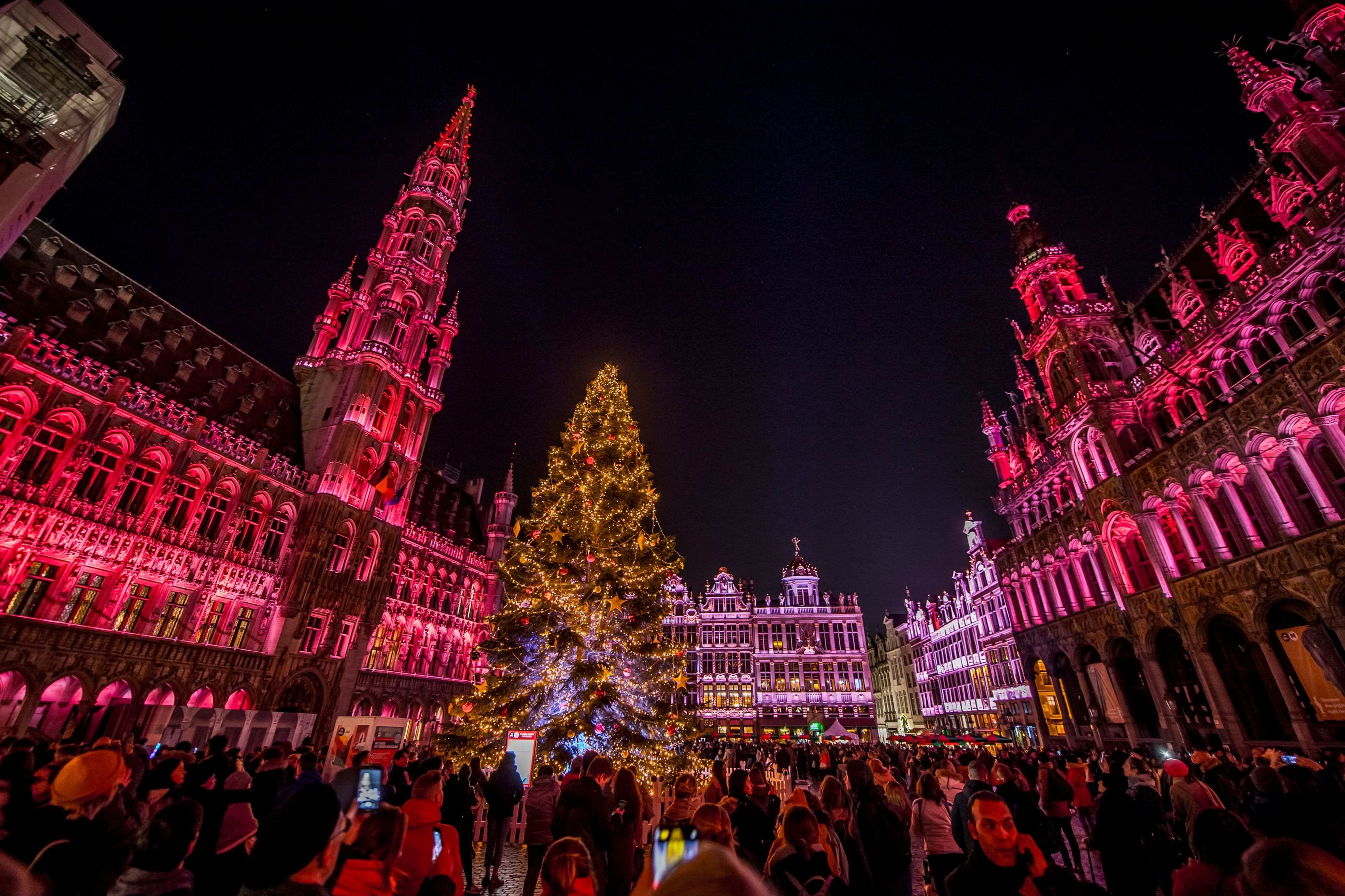 Un bâtiment historique à l’architecture riche et élaborée, avec un grand sapin de Noël placé au centre.