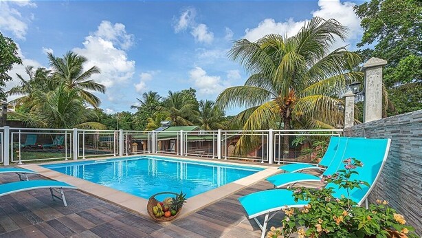 Una piscina con sillas reclinables azules, una cesta de frutas y plantas tropicales.