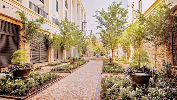 A narrow brick pathway flanked by buildings with balconies and potted plants.