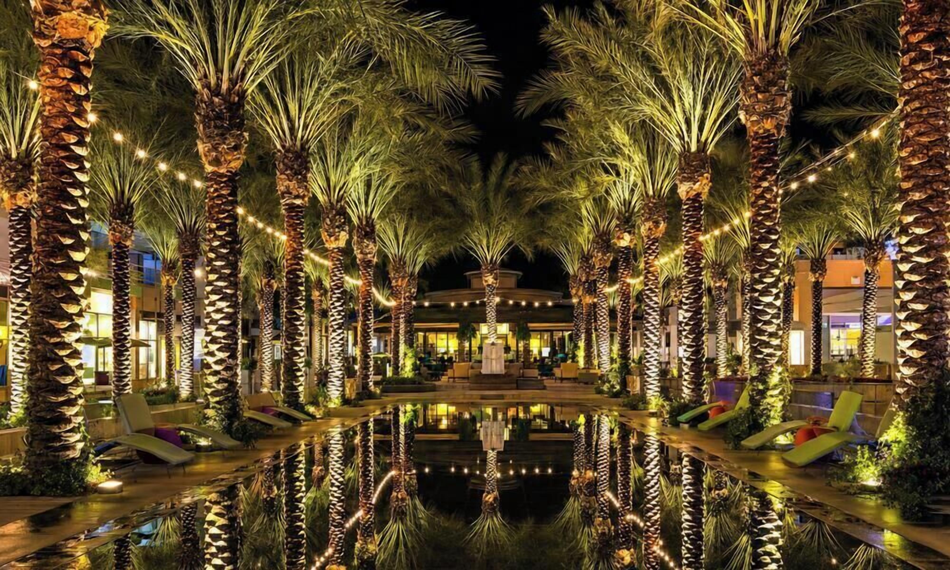 A nighttime view of a hotel with palm trees lined up along a reflective pool, leading to a building with a fountain in the center.