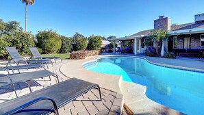 A swimming pool with lounge chairs, a palm tree, and a building with a brick facade.