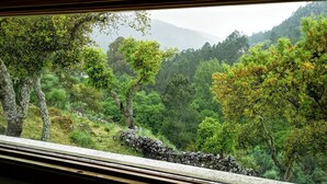 A view from a window with a stone wall and trees.